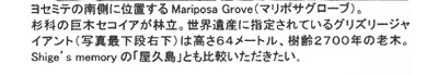 Z~e̓쑤ɈʒuMariposa Grovei}|TO[ujB
Ȃ̋؃ZRCAїBEYɎw肳Ă
OY[WCAgiʐ^ŉiEj͍64[gA2700N̘V؁B
Shige's memorýuvvƂrB