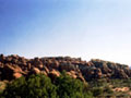 gC01