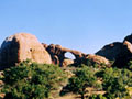 gC02
