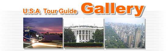 USA Tour Guide Galley